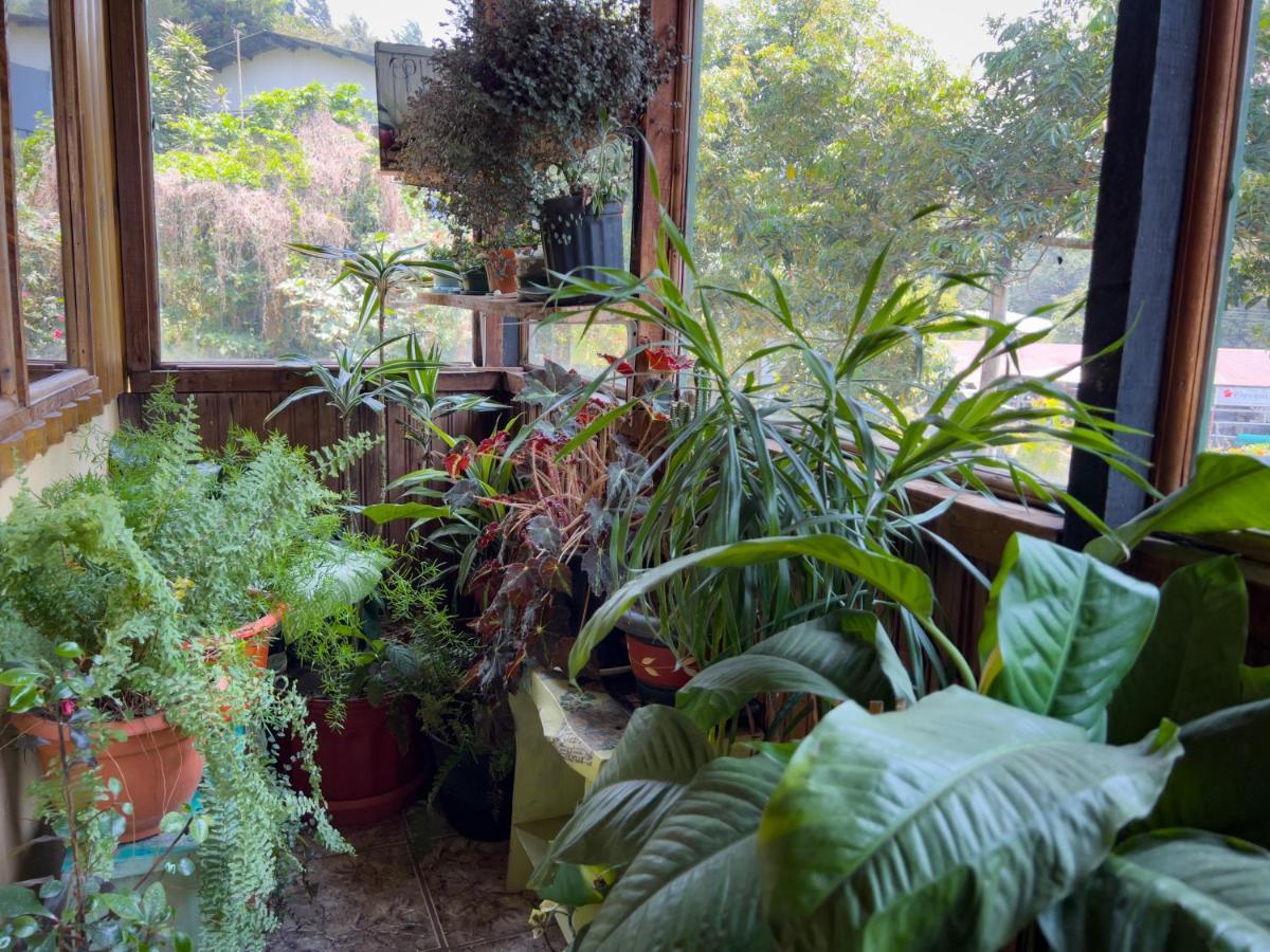 Casa Tranquilo Hostel Monteverde Eksteriør bilde